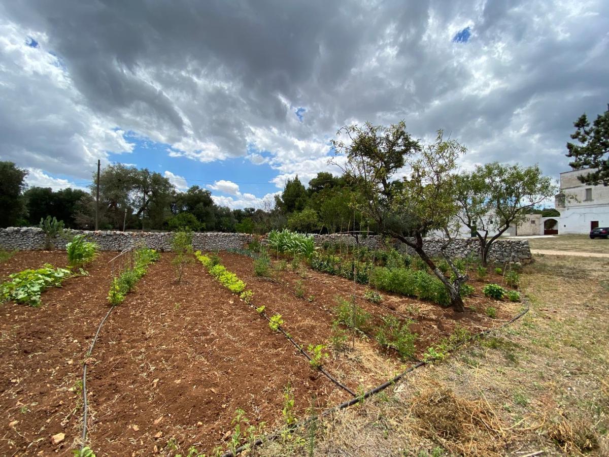 Masseria Cervellera Leilighet Ceglie Messapica Eksteriør bilde