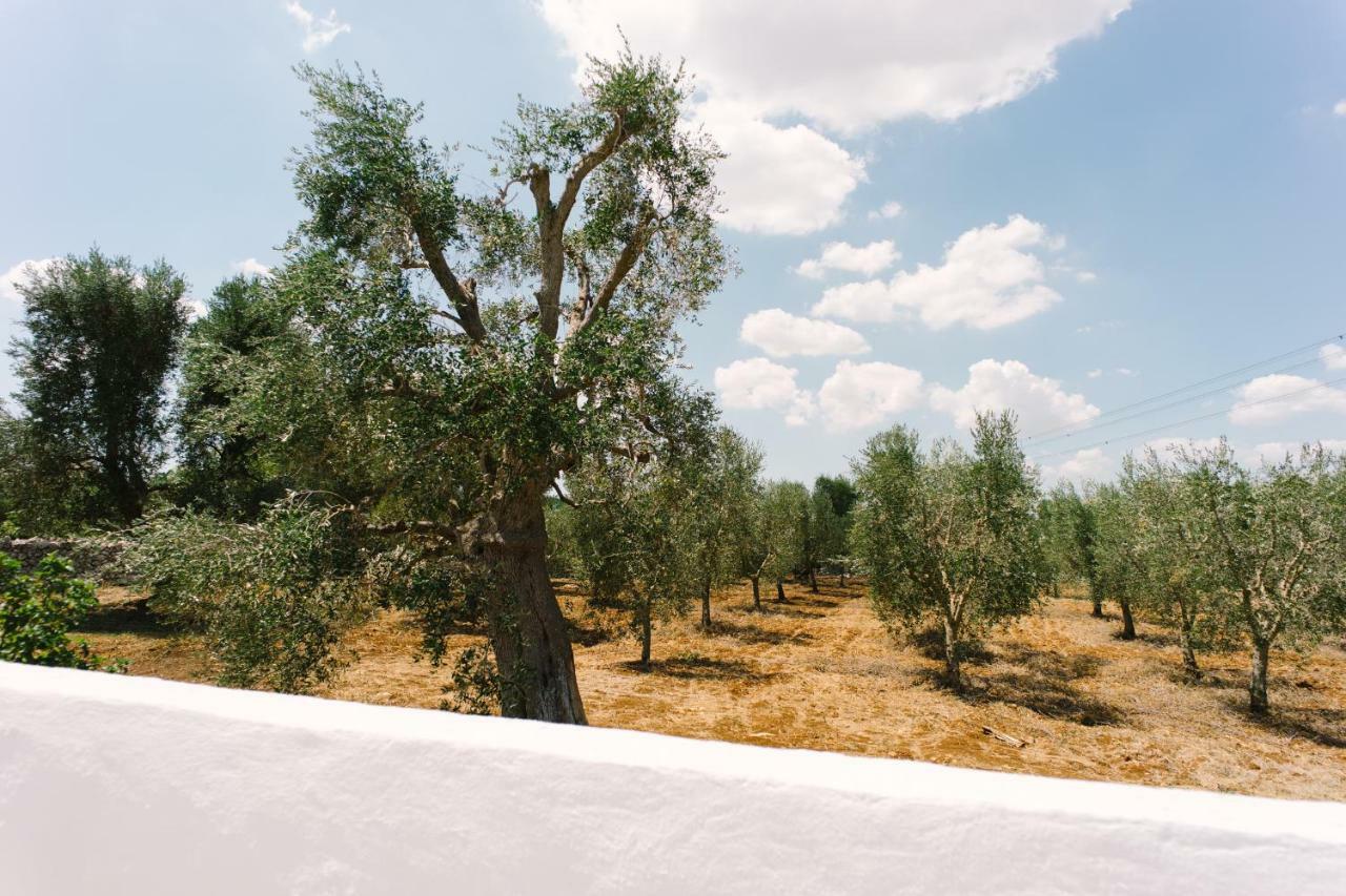 Masseria Cervellera Leilighet Ceglie Messapica Eksteriør bilde